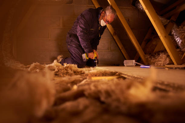 Types of Insulation We Offer in Tacoma, WA